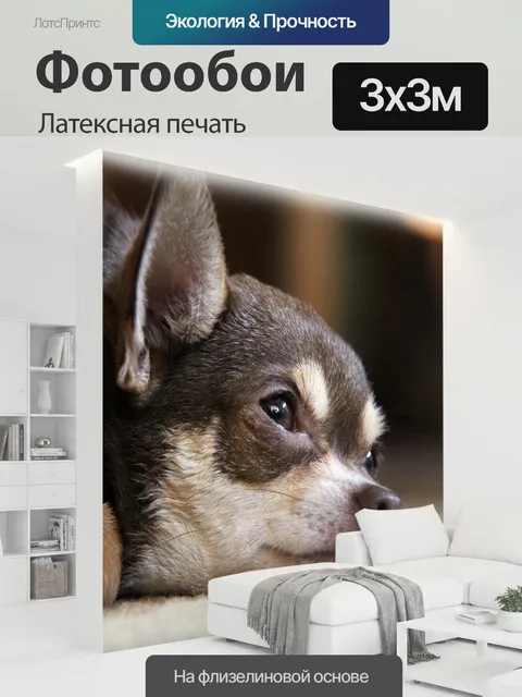 300 × 300 см · Латексная печать