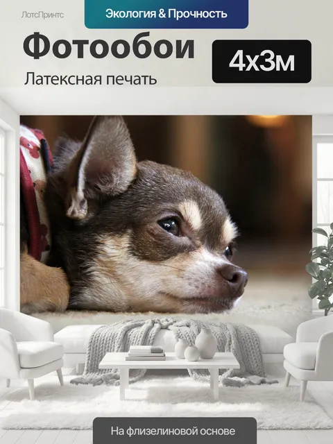 400 × 300 см · Латексная печать