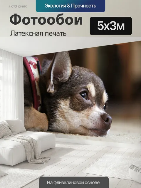 500 × 300 см · Латексная печать