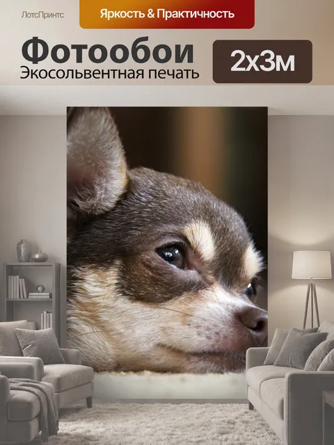 200 × 300 см · Экосольвентная печать
