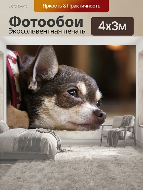 400 × 300 см · Экосольвентная печать