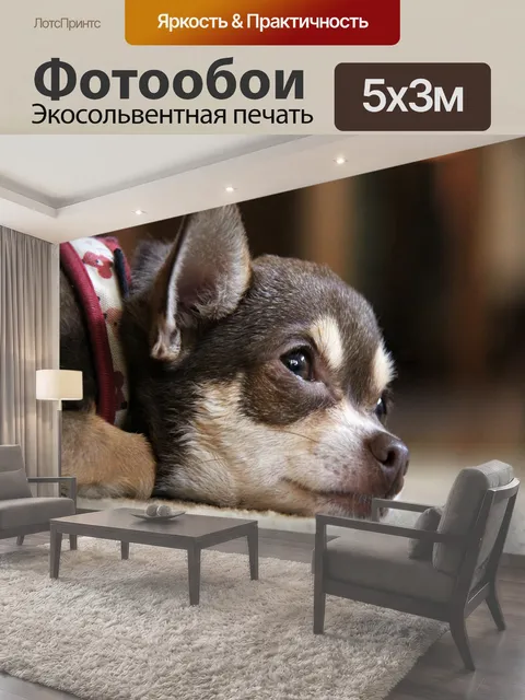 500 × 300 см · Экосольвентная печать