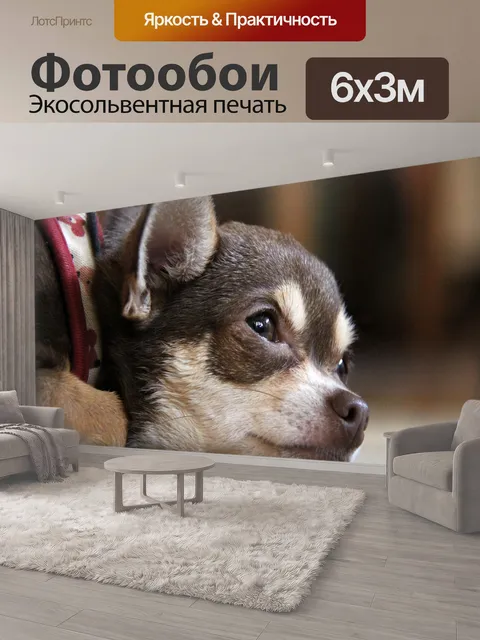 600 × 300 см · Экосольвентная печать