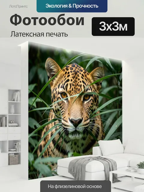 300 × 300 см · Латексная печать