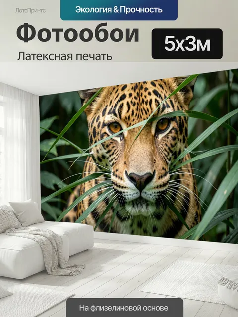500 × 300 см · Латексная печать