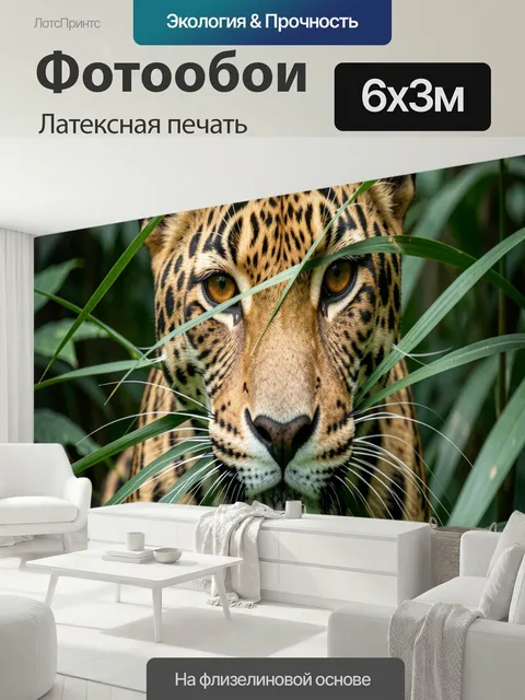 600 × 300 см · Латексная печать