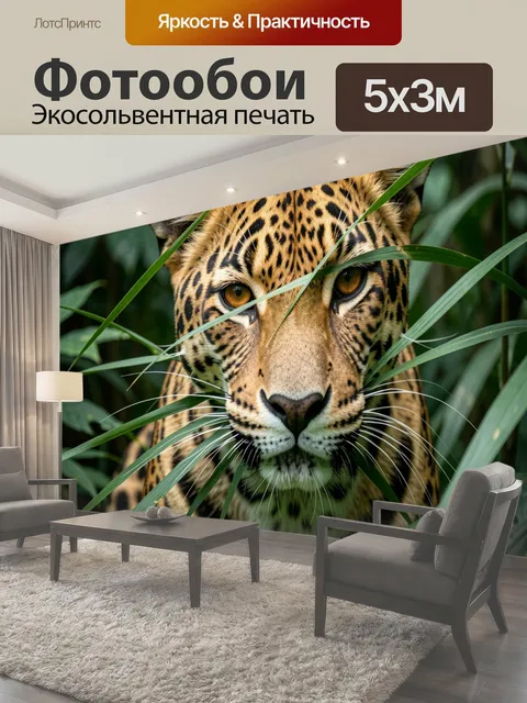 500 × 300 см · Экосольвентная печать