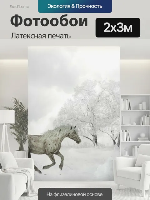 200 × 300 см · Латексная печать