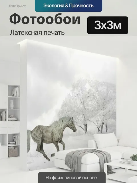 300 × 300 см · Латексная печать