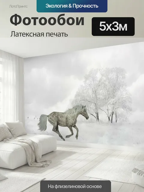 500 × 300 см · Латексная печать