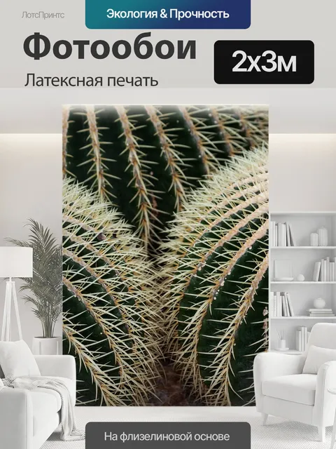 200 × 300 см · Латексная печать