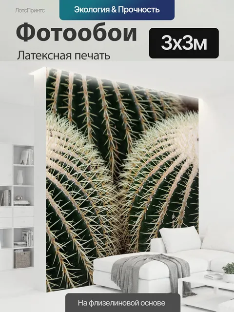 300 × 300 см · Латексная печать