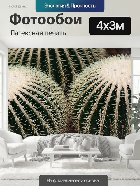 400 × 300 см · Латексная печать