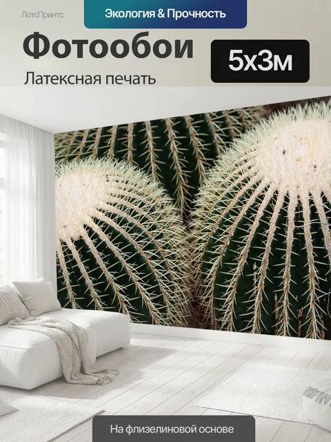 500 × 300 см · Латексная печать