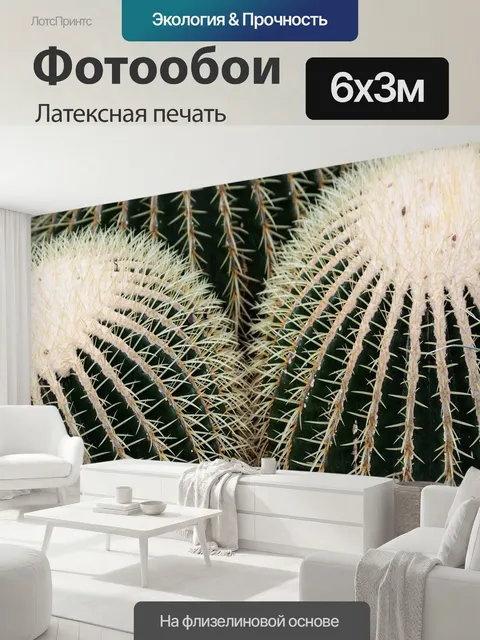 600 × 300 см · Латексная печать