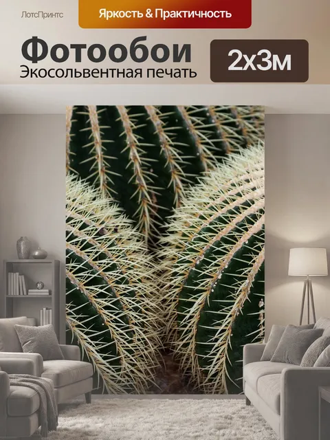 200 × 300 см · Экосольвентная печать