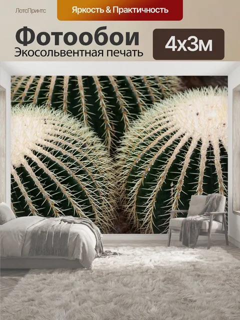400 × 300 см · Экосольвентная печать