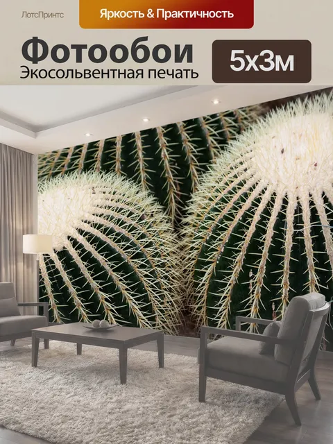 500 × 300 см · Экосольвентная печать