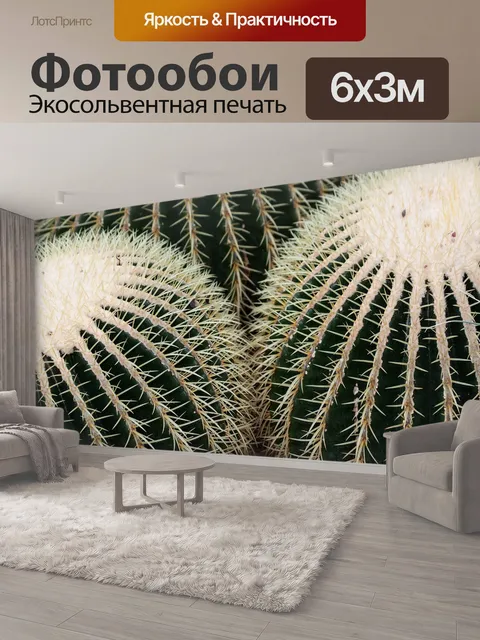 600 × 300 см · Экосольвентная печать