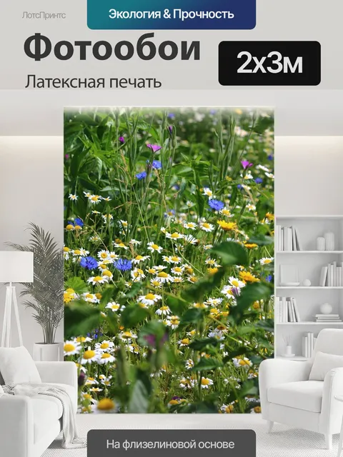 200 × 300 см · Латексная печать