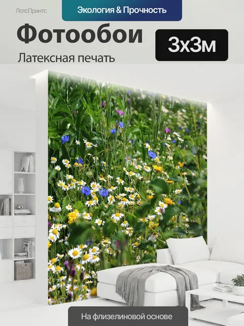 300 × 300 см · Латексная печать