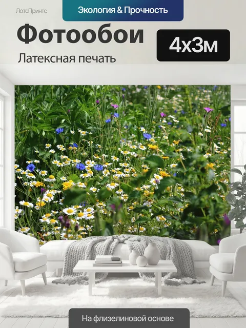 400 × 300 см · Латексная печать