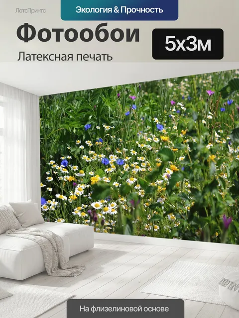 500 × 300 см · Латексная печать