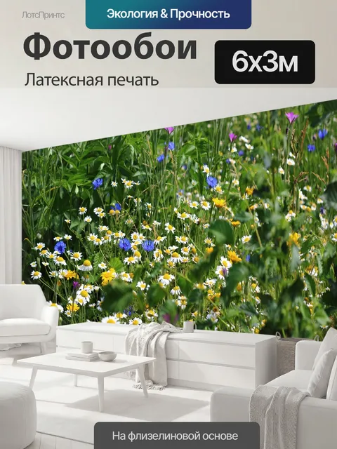 600 × 300 см · Латексная печать