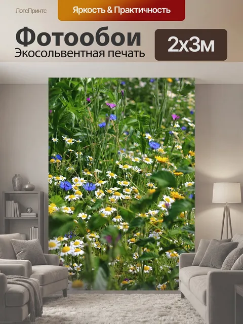 200 × 300 см · Экосольвентная печать