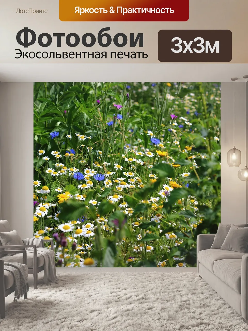 Фотообои Цветы, летом, полевой цветок