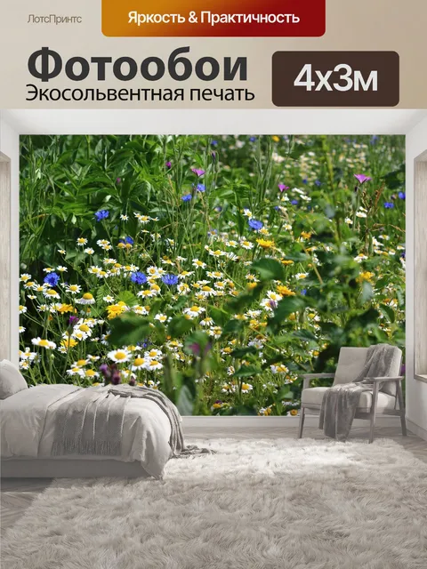 400 × 300 см · Экосольвентная печать