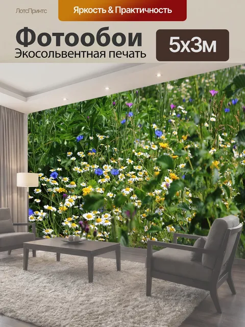 500 × 300 см · Экосольвентная печать