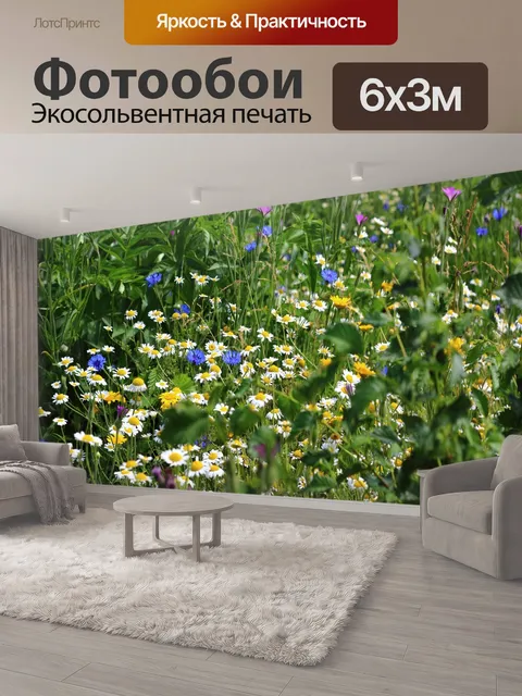 600 × 300 см · Экосольвентная печать
