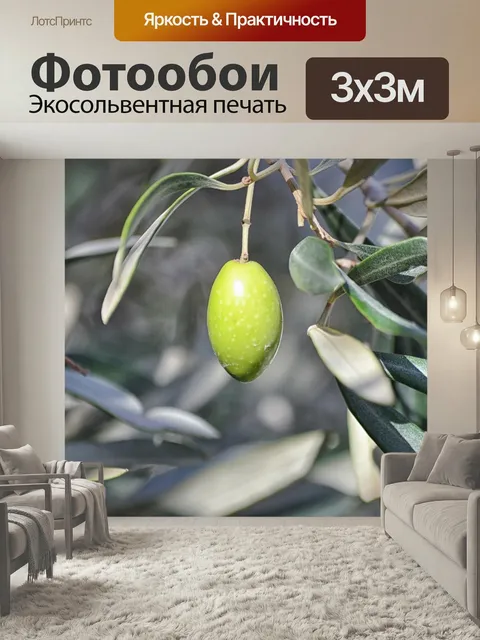Фотообои Оливковый, сельское хозяйство, масло