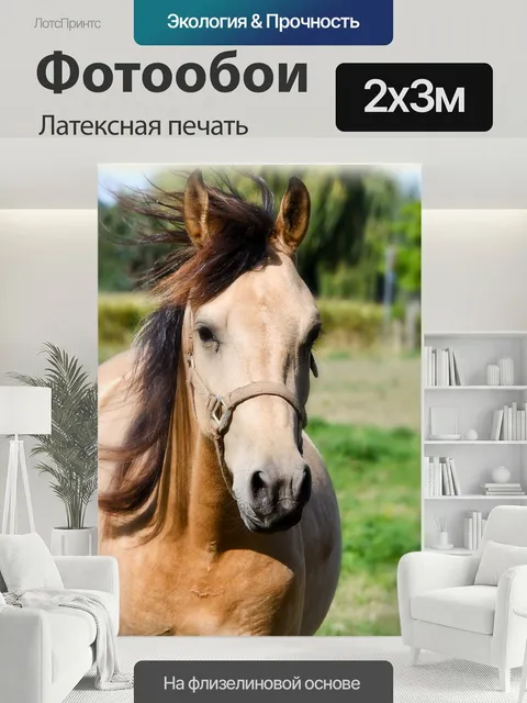 200 × 300 см · Латексная печать