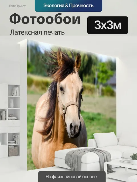 300 × 300 см · Латексная печать