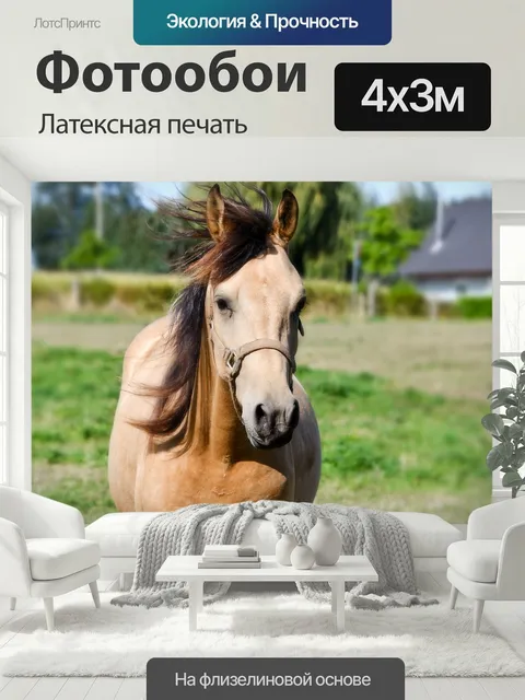 400 × 300 см · Латексная печать