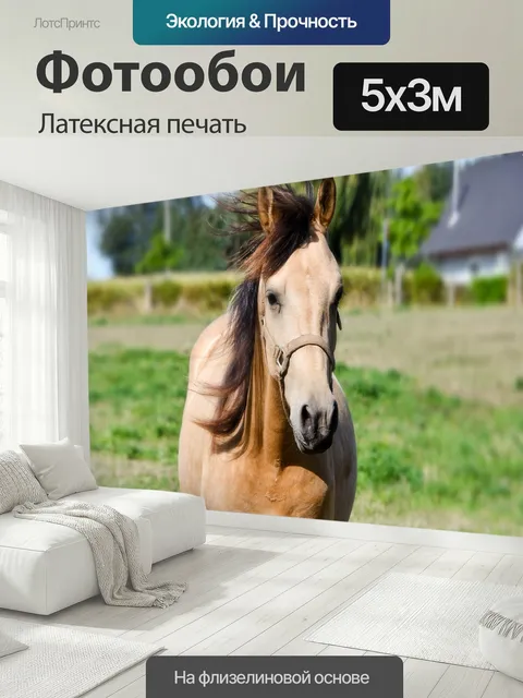 500 × 300 см · Латексная печать