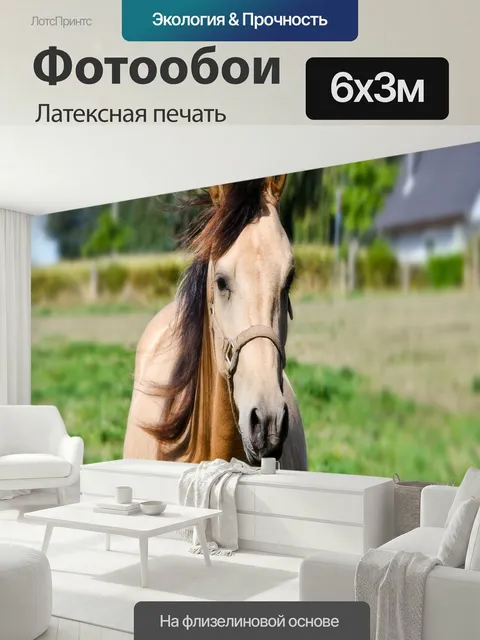 600 × 300 см · Латексная печать