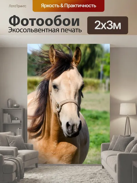 200 × 300 см · Экосольвентная печать
