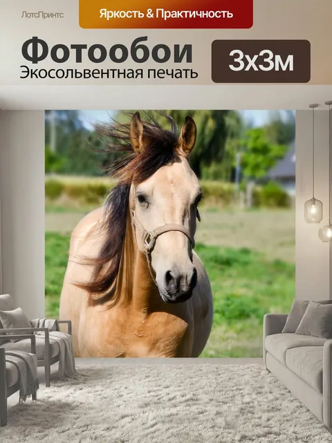 Фотообои Лошадь, животное, ранчо