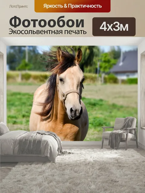 400 × 300 см · Экосольвентная печать