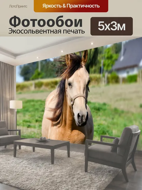 500 × 300 см · Экосольвентная печать