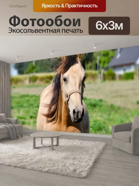 600 × 300 см · Экосольвентная печать