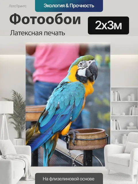 200 × 300 см · Латексная печать