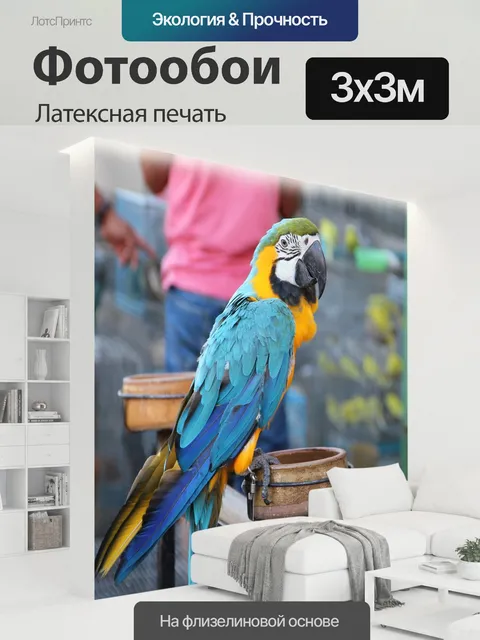 300 × 300 см · Латексная печать