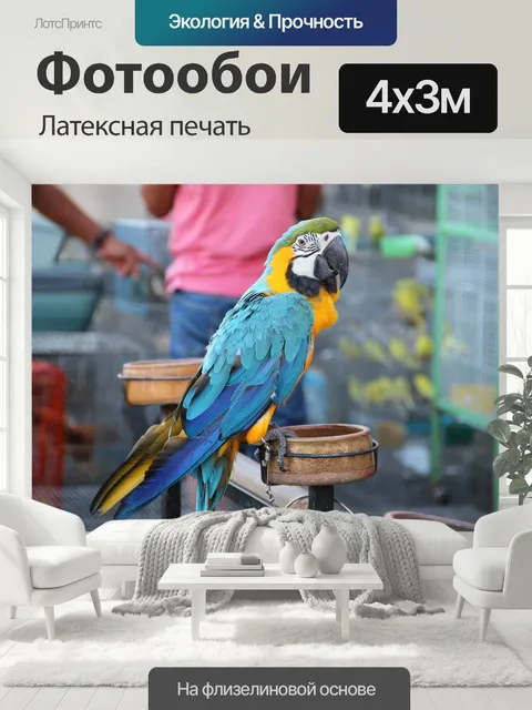400 × 300 см · Латексная печать