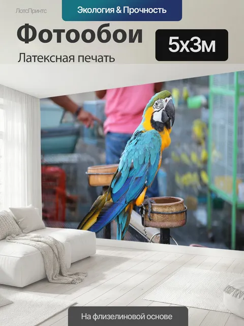 500 × 300 см · Латексная печать