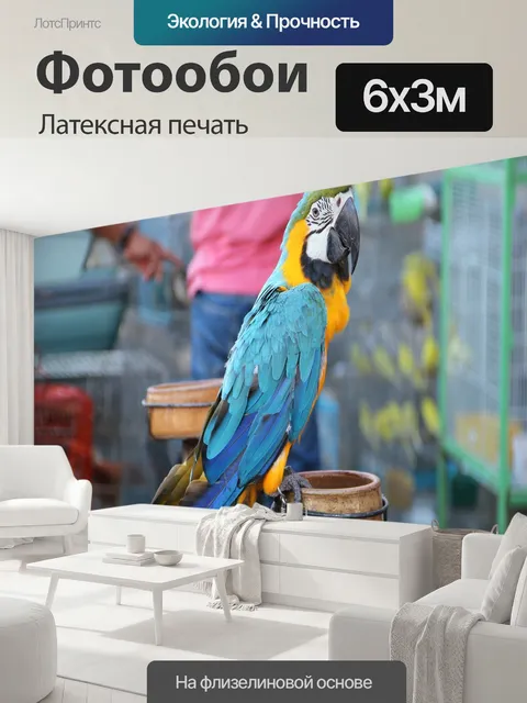 600 × 300 см · Латексная печать