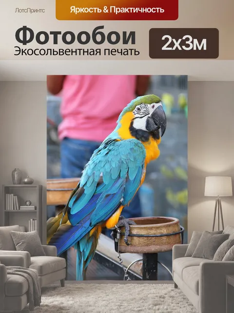 200 × 300 см · Экосольвентная печать